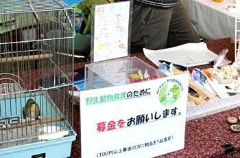 NPO法人 野生動物救護の会