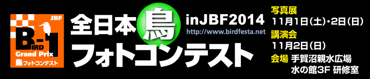 JBF全日本鳥フォトコンテスト2014