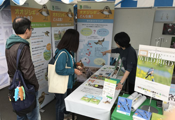 公益財団法人日本野鳥の会