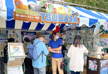 FNPO@l TSUBASA