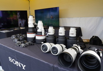 ソニーマーケティング株式会社