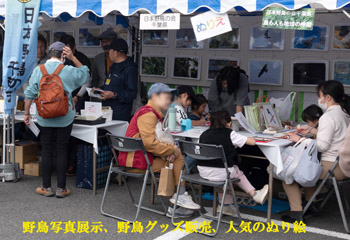 日本野鳥の会千葉県