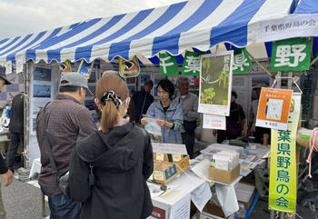 千葉県野鳥の会