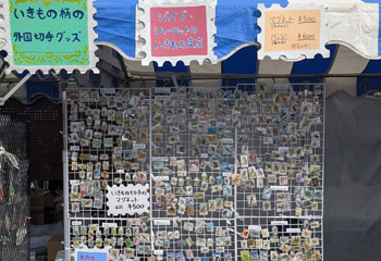 ジェイド・シャーロットのいきもの支店