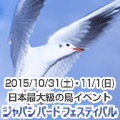 �W���p�� �o�[�h �t�F�X�e�B�o��
