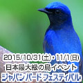 �W���p�� �o�[�h �t�F�X�e�B�o��