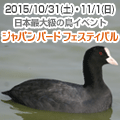 �W���p�� �o�[�h �t�F�X�e�B�o��