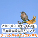 �W���p�� �o�[�h �t�F�X�e�B�o��