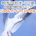 �W���p�� �o�[�h �t�F�X�e�B�o��