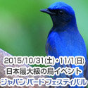 �W���p�� �o�[�h �t�F�X�e�B�o��