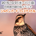 �W���p�� �o�[�h �t�F�X�e�B�o��