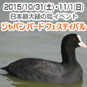 �W���p�� �o�[�h �t�F�X�e�B�o��