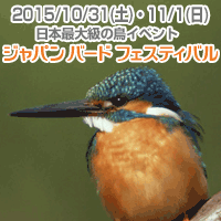 �W���p�� �o�[�h �t�F�X�e�B�o��