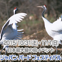 �W���p�� �o�[�h �t�F�X�e�B�o��