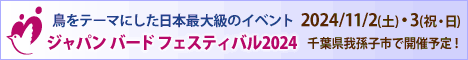 ジャパン バード フェスティバル