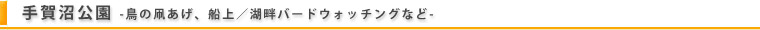 凧揚げ・ほか