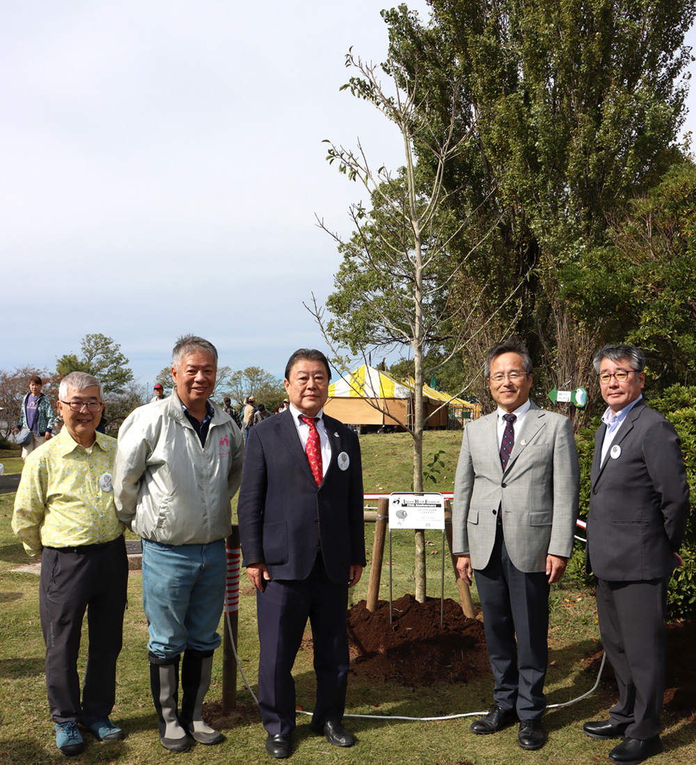 �N���K�l���`