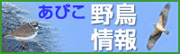 我孫子野鳥情報