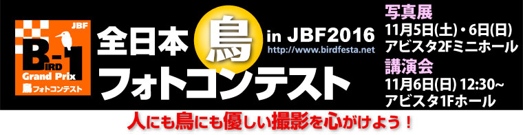 JBF全日本鳥フォトコンテスト2016