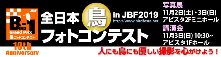 JBF全日本鳥フォトコンテスト2019