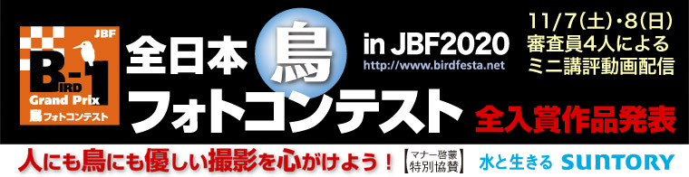 JBF全日本鳥フォトコンテスト2020