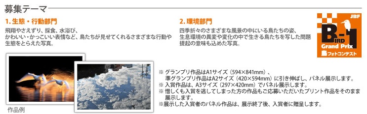 募集テーマ