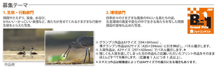 ��W�e�[�}