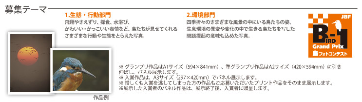 JBF�S���{���t�H�g�R���e�X�g2010��i��