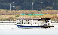 �����e���L��@�����V���@�D��o�[�h�E�H�b�`���O�@�䑷�q �쒹������ 2011