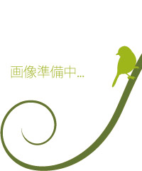 ���E�̓��R�t�Y
