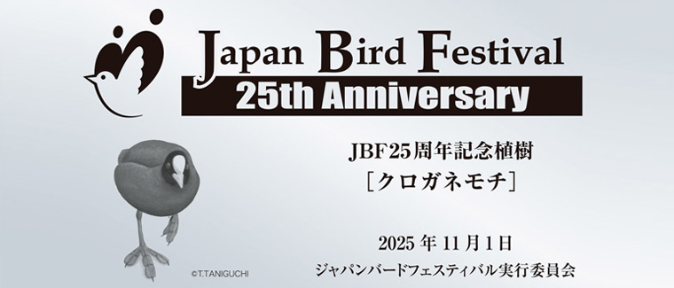 JBF25���N�L�O�A�����Ƃɂ���