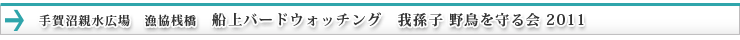 �����e���L��@�����V���@�D��o�[�h�E�H�b�`���O�@�䑷�q �쒹������ 2011