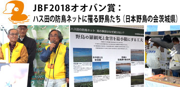 JBF2018オオバン賞は『ハス田の防鳥ネットに罹る野鳥たち（日本野鳥の会茨城県）』