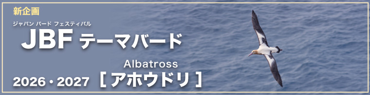 �V��� �W���p�� �o�[�h �t�F�X�e�B�o�� JBF �e�[�}�o�[�h Albatross 2026�E2027�m�A�z�E�h���n